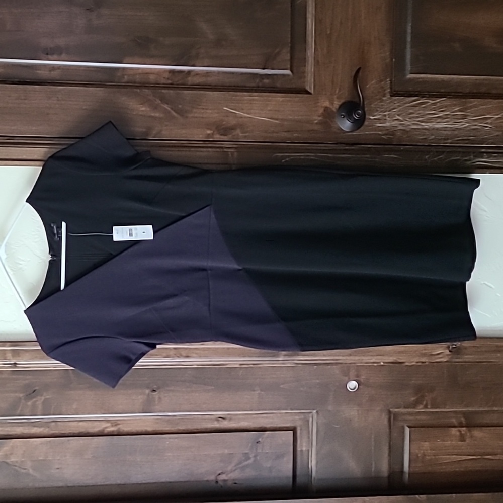 COPY - Ann Taylor Dress